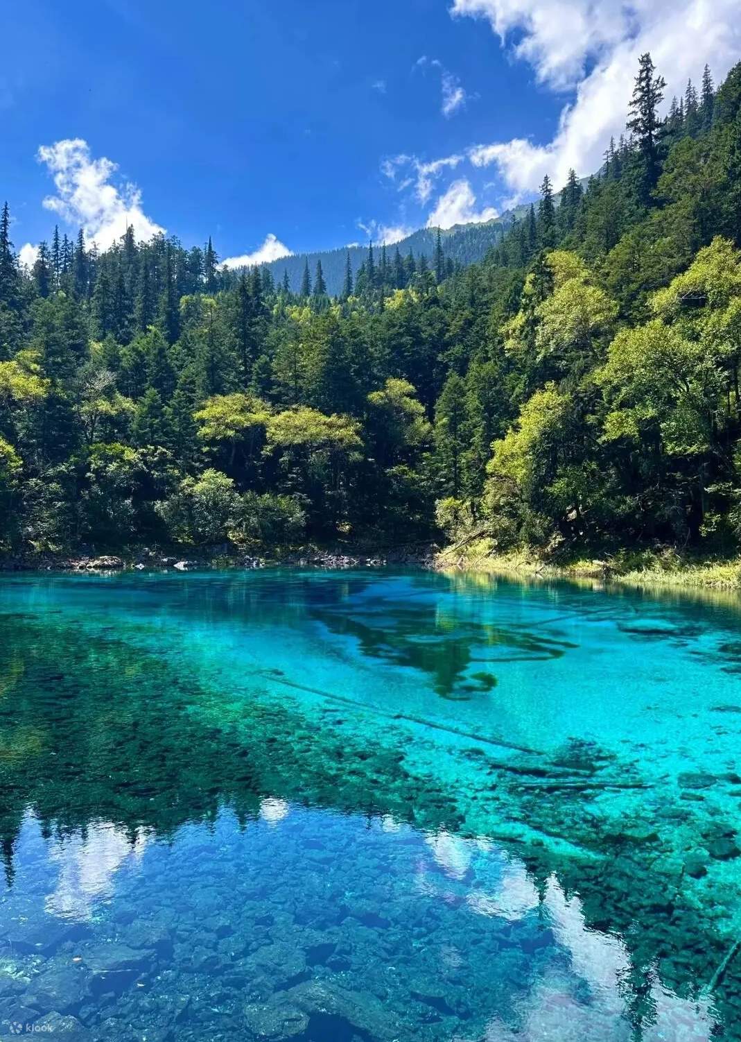 3-day tour to Jiuzhaigou in Sichuan (including high-speed rail tickets ...